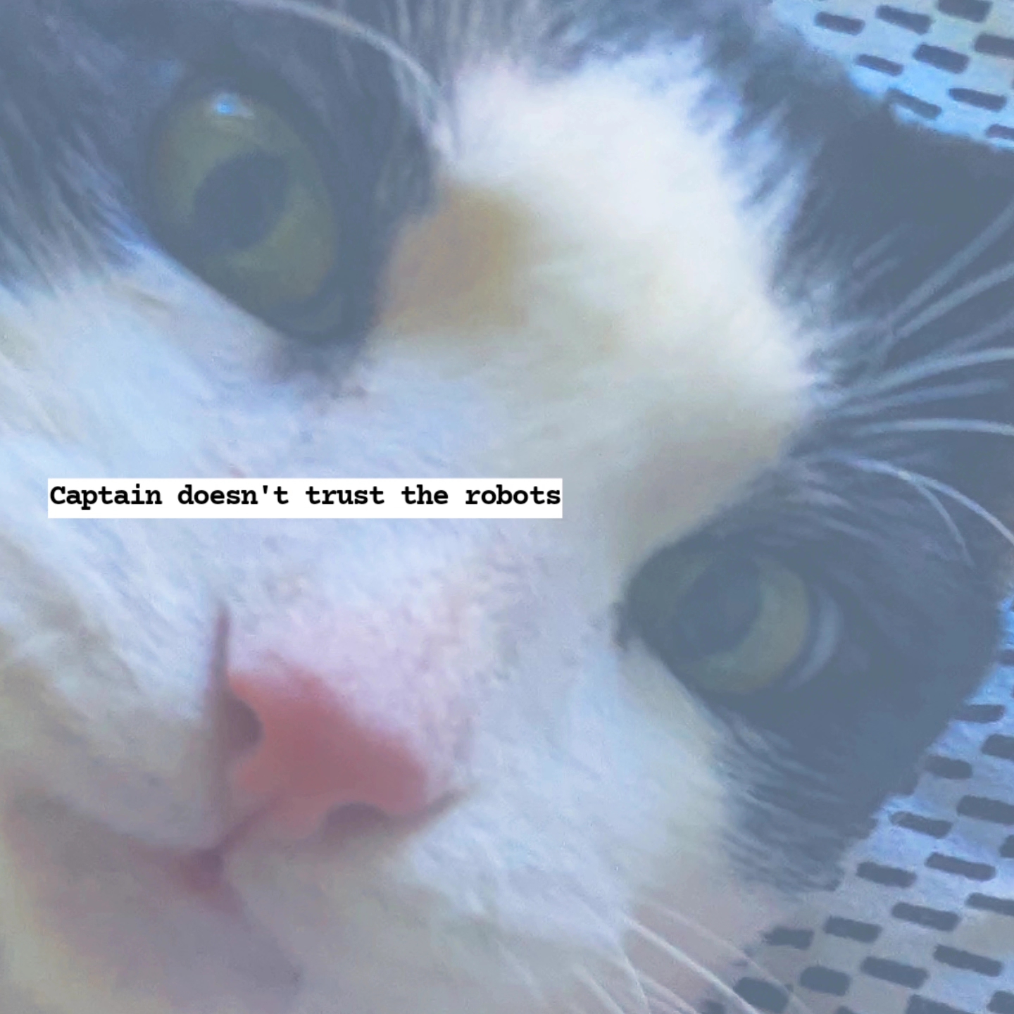 Memory Preservation Invariants - Formalizing Identity in AI